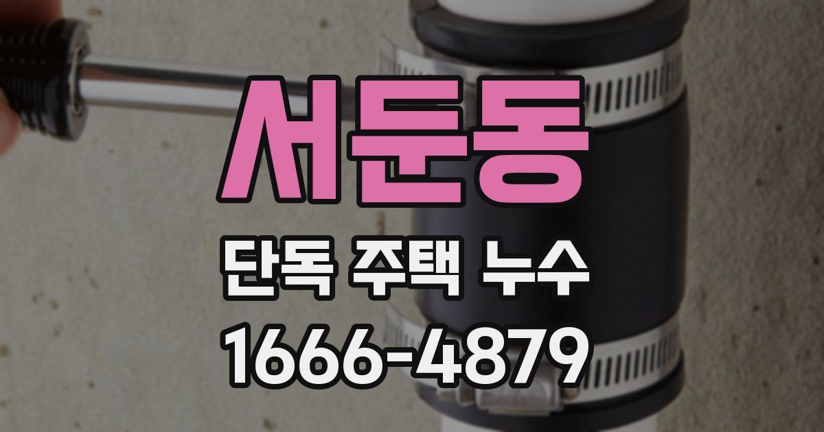 서둔동 단독 주택 누수