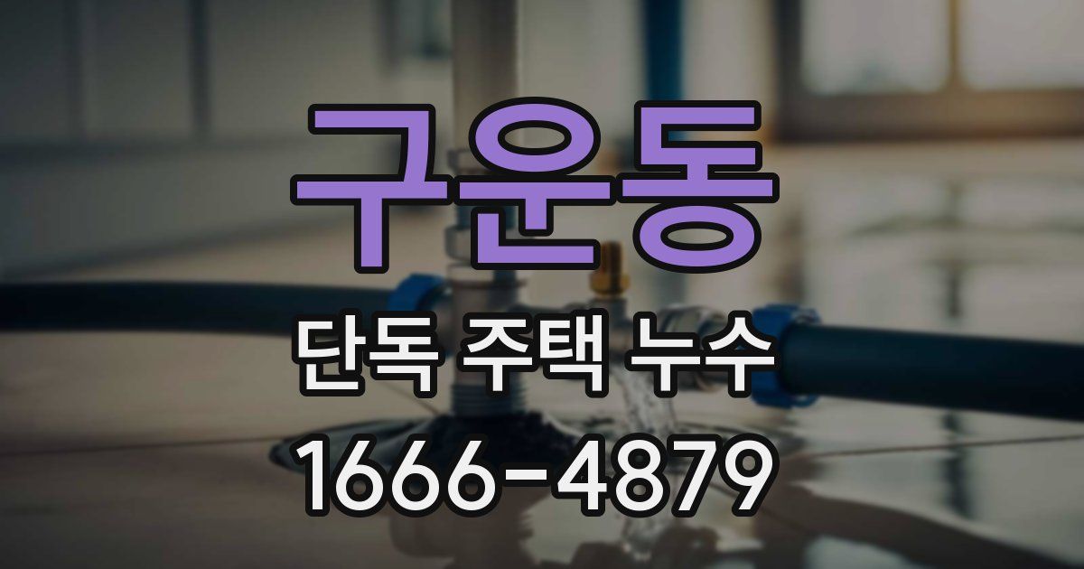 구운동 단독 주택 누수