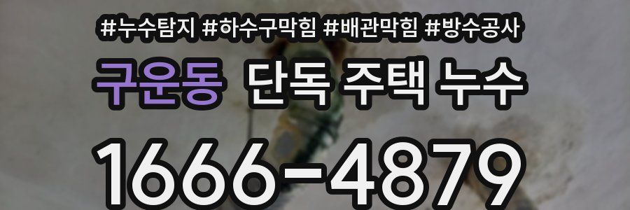 구운동 단독 주택 누수