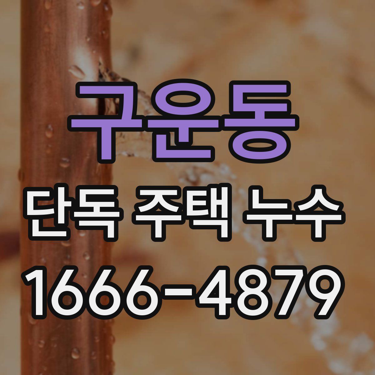 구운동 단독 주택 누수