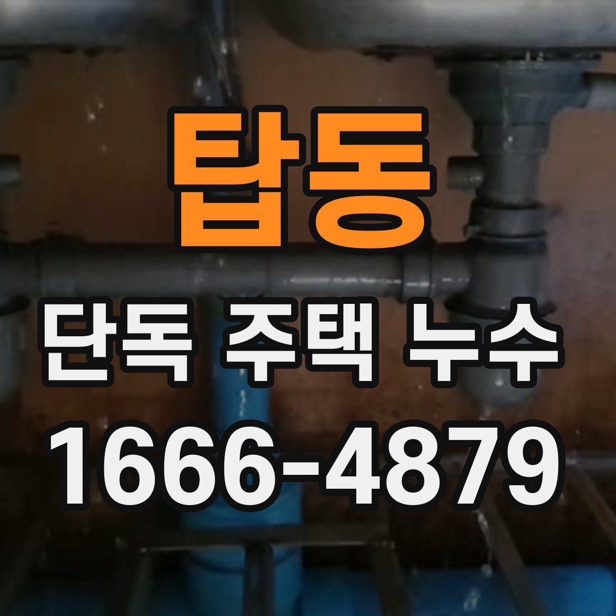 탑동 단독 주택 누수