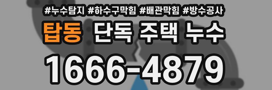 탑동 단독 주택 누수