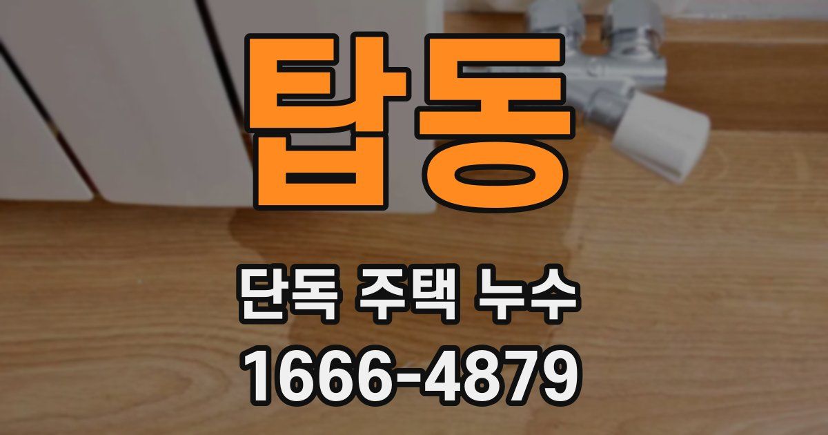 탑동 단독 주택 누수