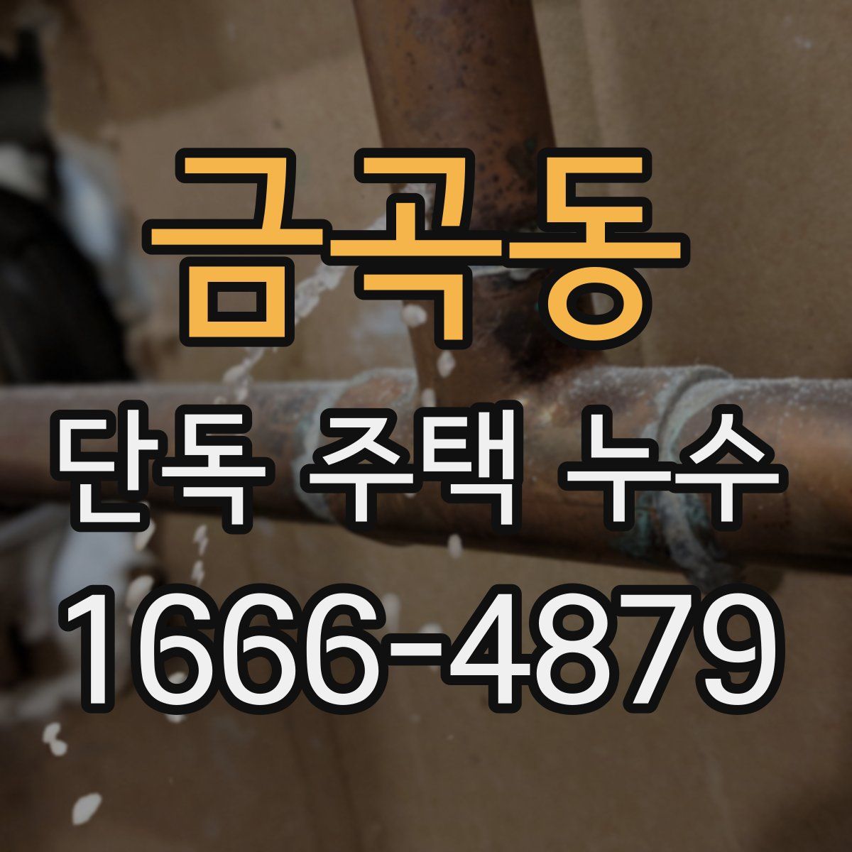 금곡동 단독 주택 누수