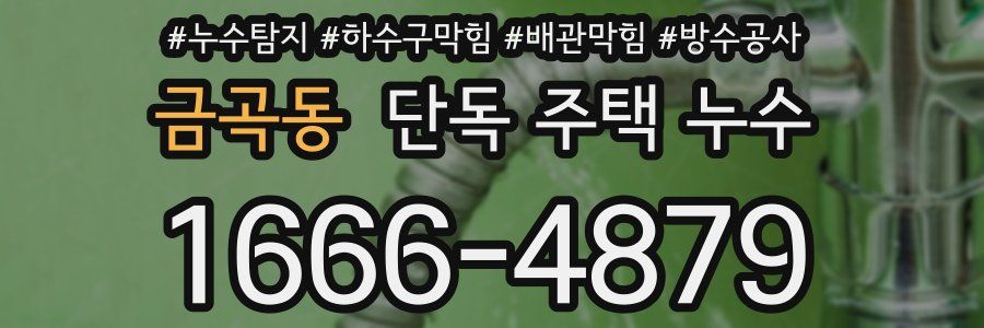금곡동 단독 주택 누수