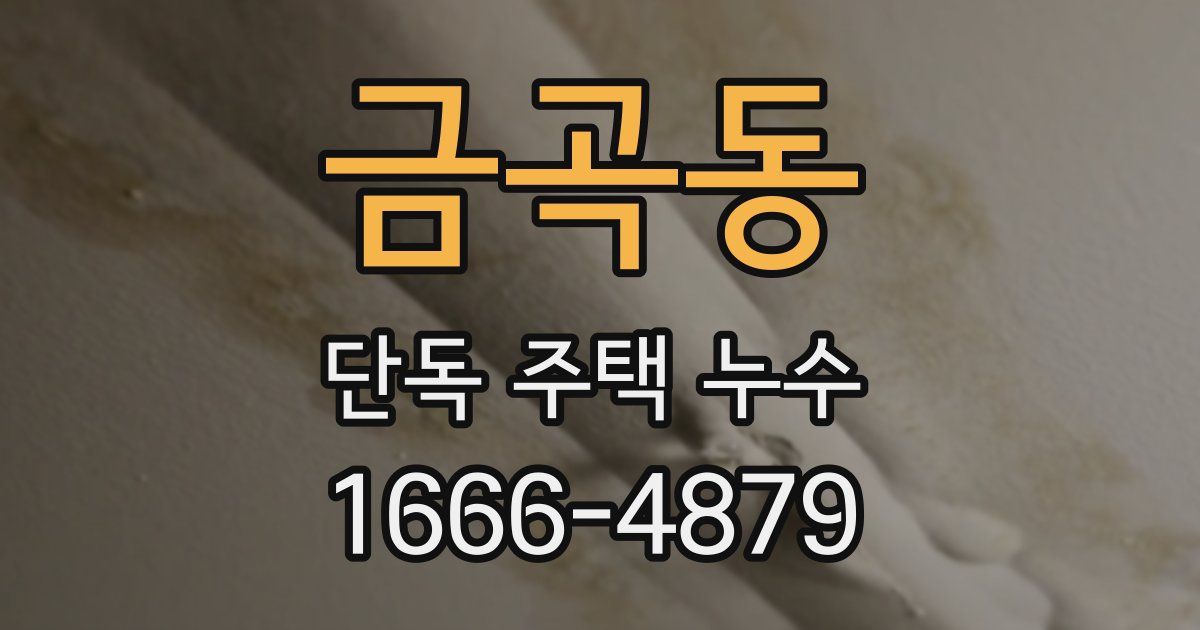 금곡동 단독 주택 누수