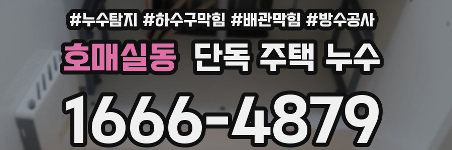 호매실동 단독 주택 누수