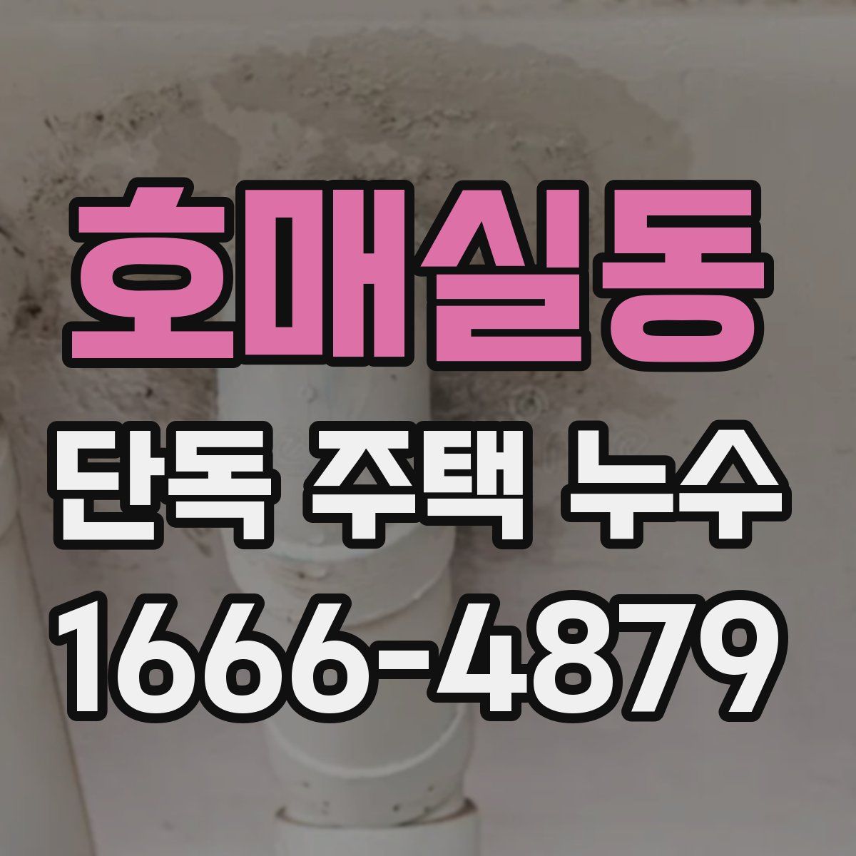 호매실동 단독 주택 누수