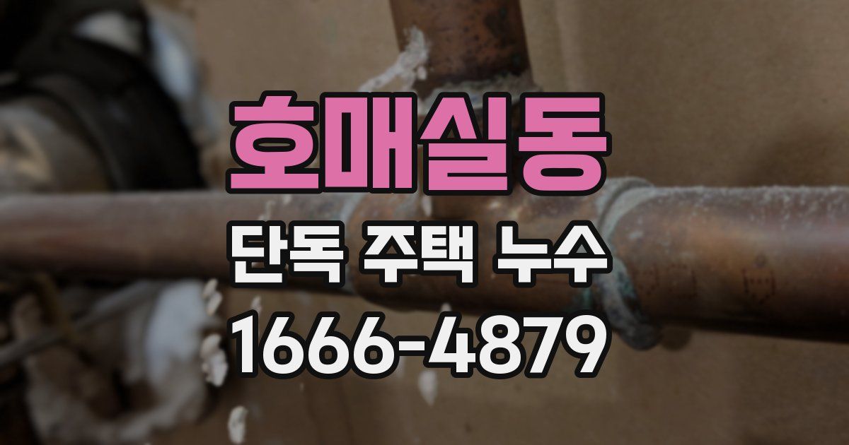 호매실동 단독 주택 누수
