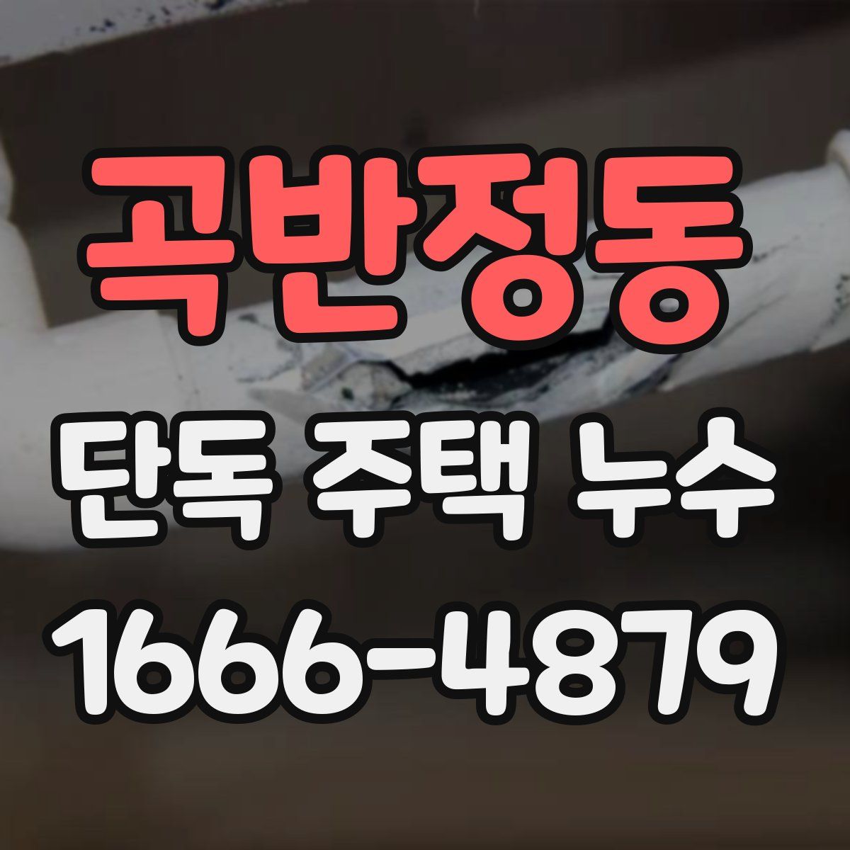 곡반정동 단독 주택 누수