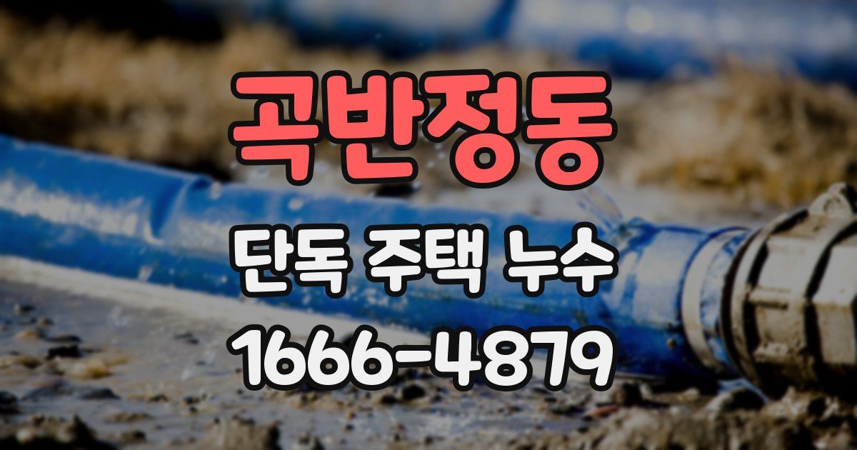 곡반정동 단독 주택 누수