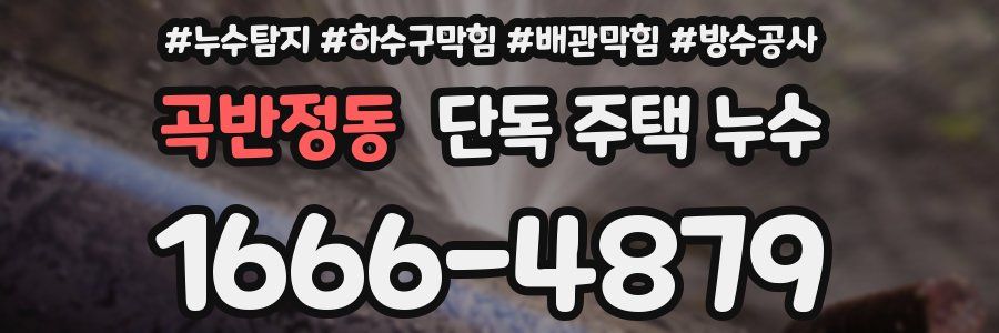 곡반정동 단독 주택 누수