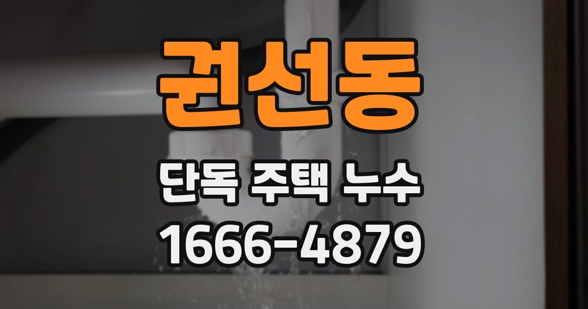 권선동 단독 주택 누수