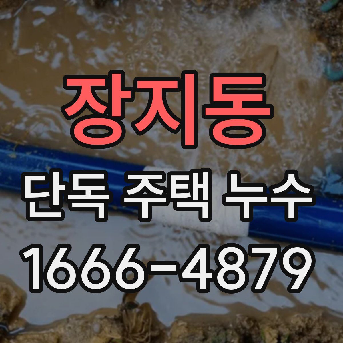 장지동 단독 주택 누수