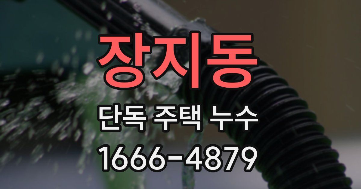 장지동 단독 주택 누수