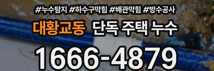 대황교동 단독 주택 누수