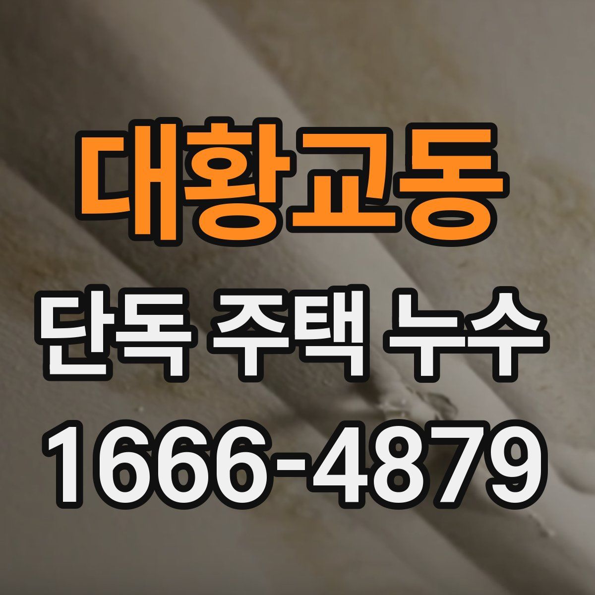 대황교동 단독 주택 누수