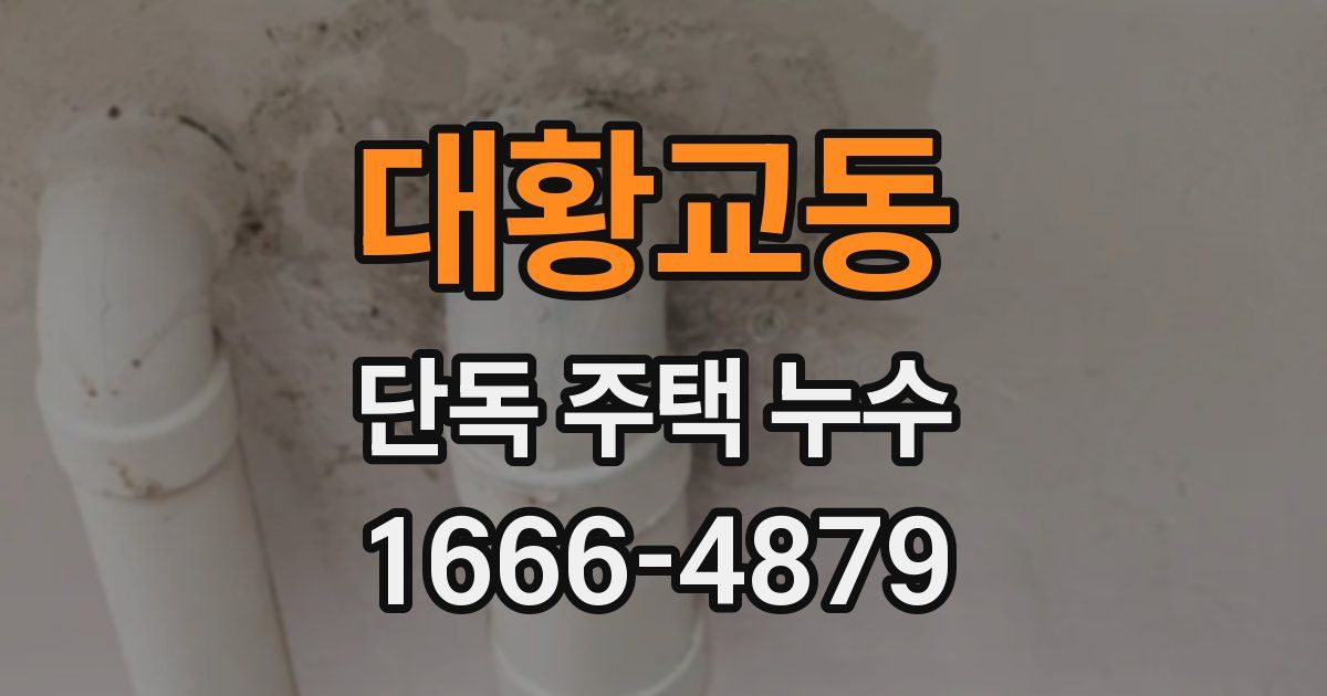 대황교동 단독 주택 누수