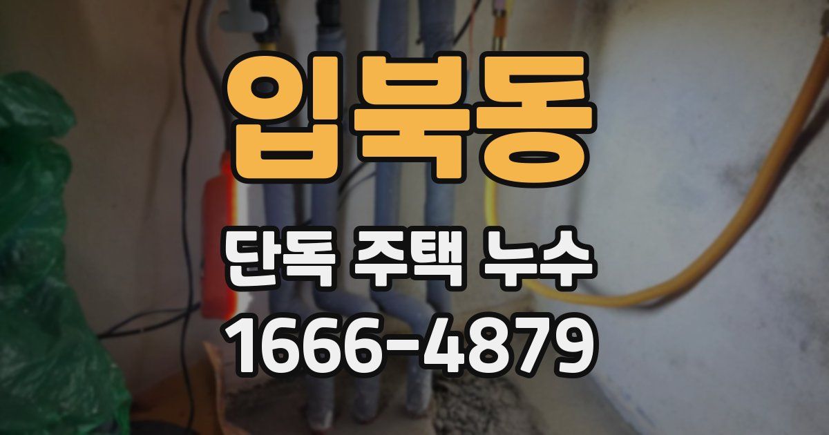 입북동 단독 주택 누수