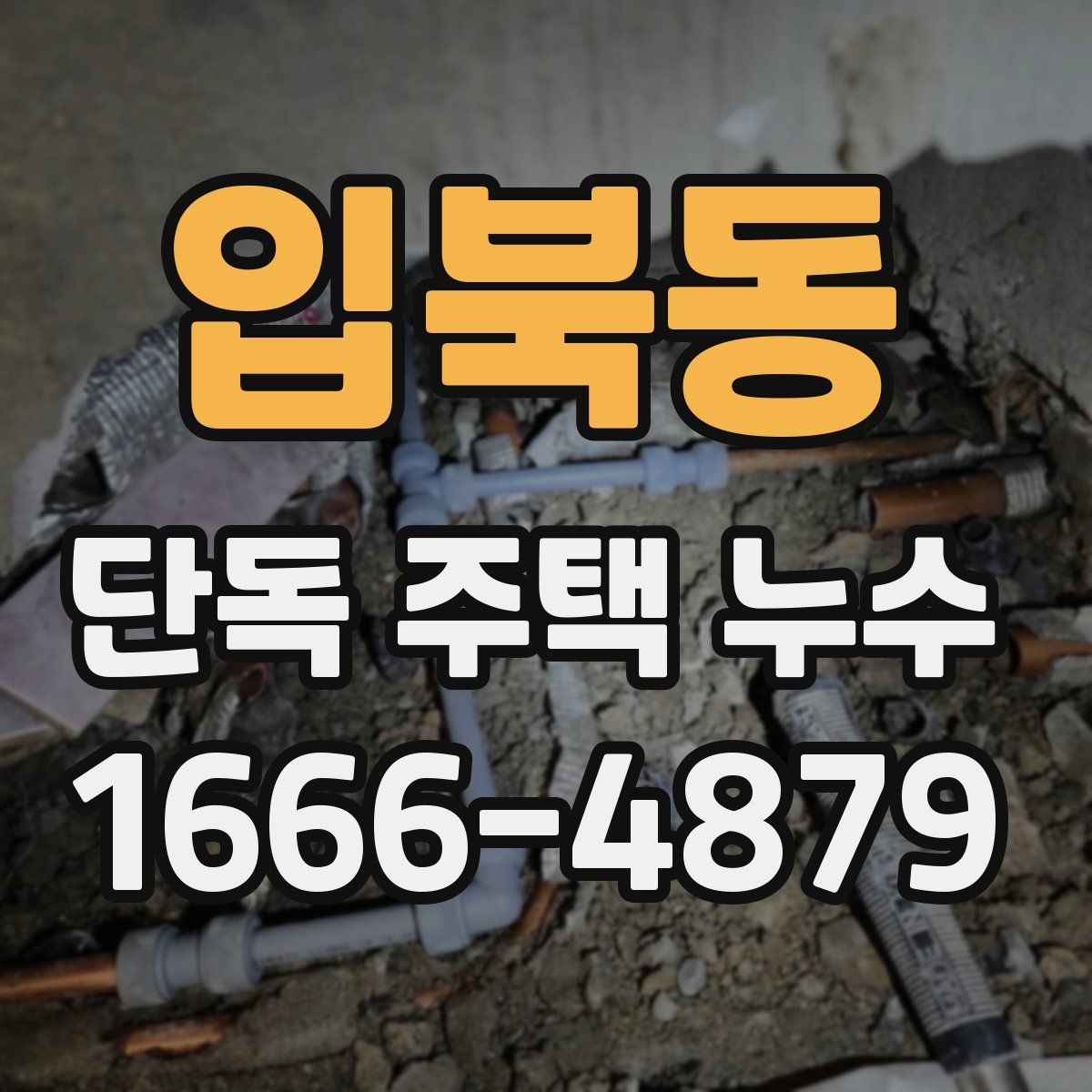 입북동 단독 주택 누수