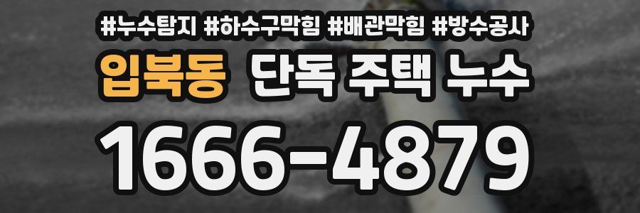 입북동 단독 주택 누수