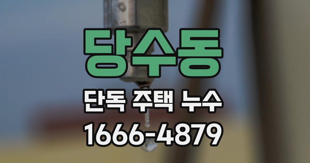 당수동 단독 주택 누수