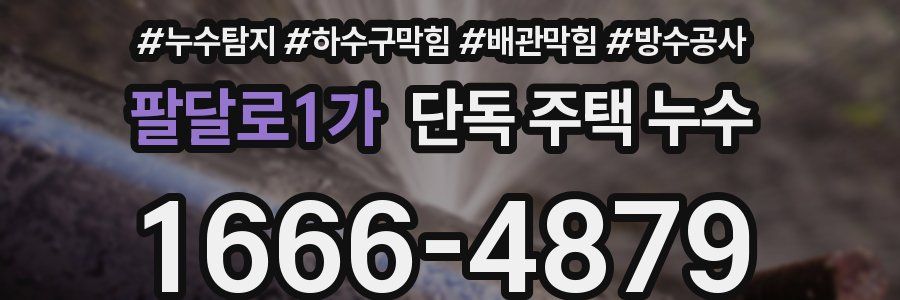 팔달로1가 단독 주택 누수