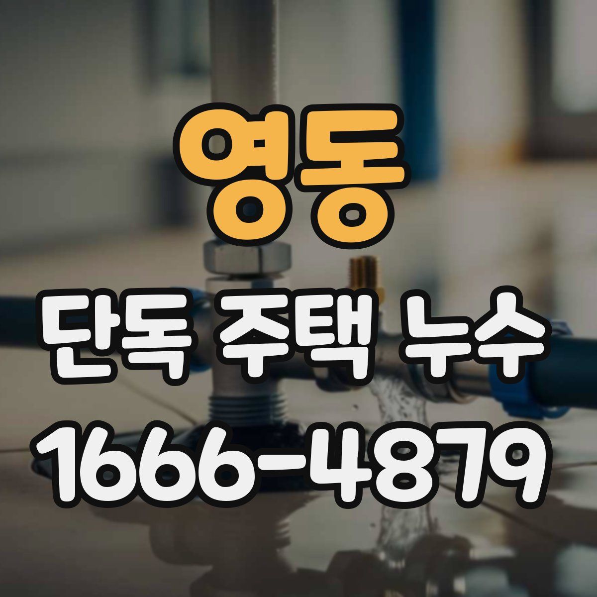 영동 단독 주택 누수