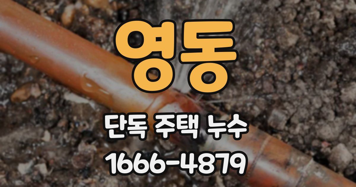 영동 단독 주택 누수