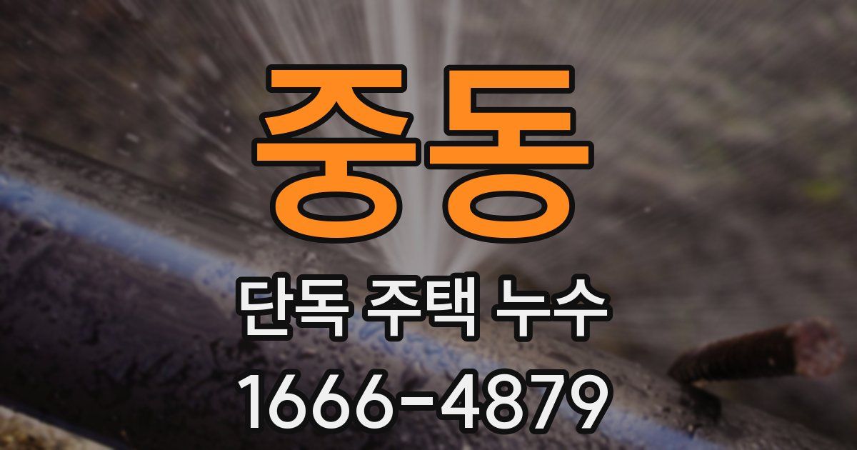 중동 단독 주택 누수