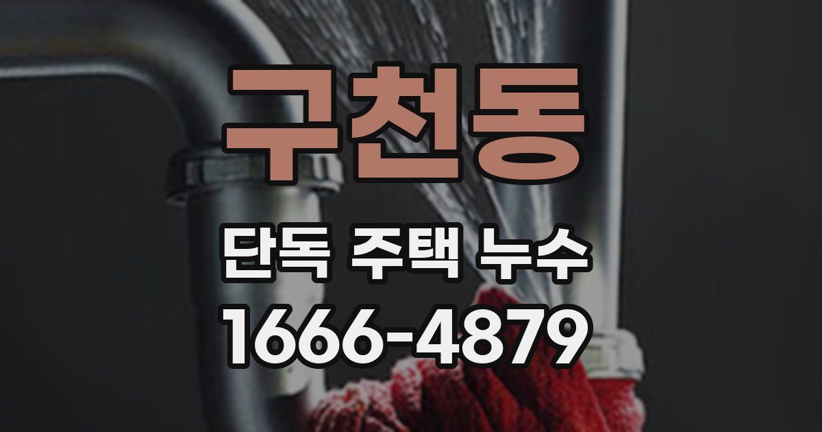 구천동 단독 주택 누수