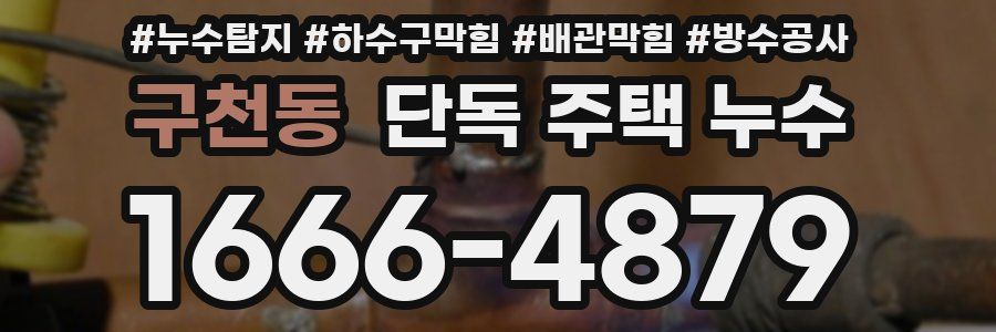 구천동 단독 주택 누수