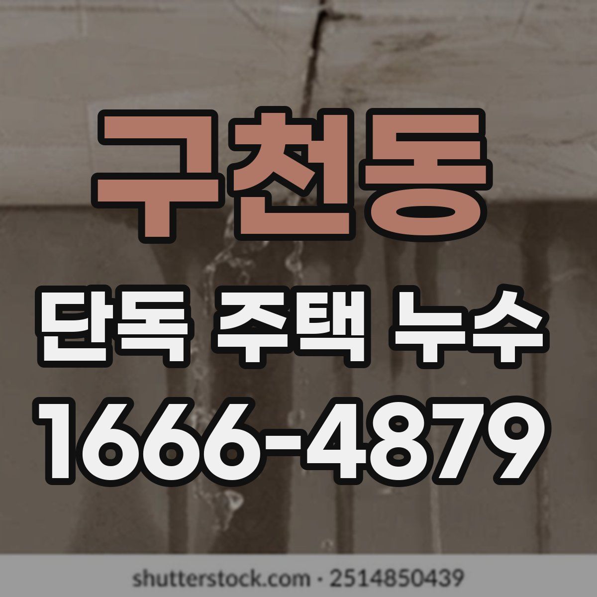 구천동 단독 주택 누수