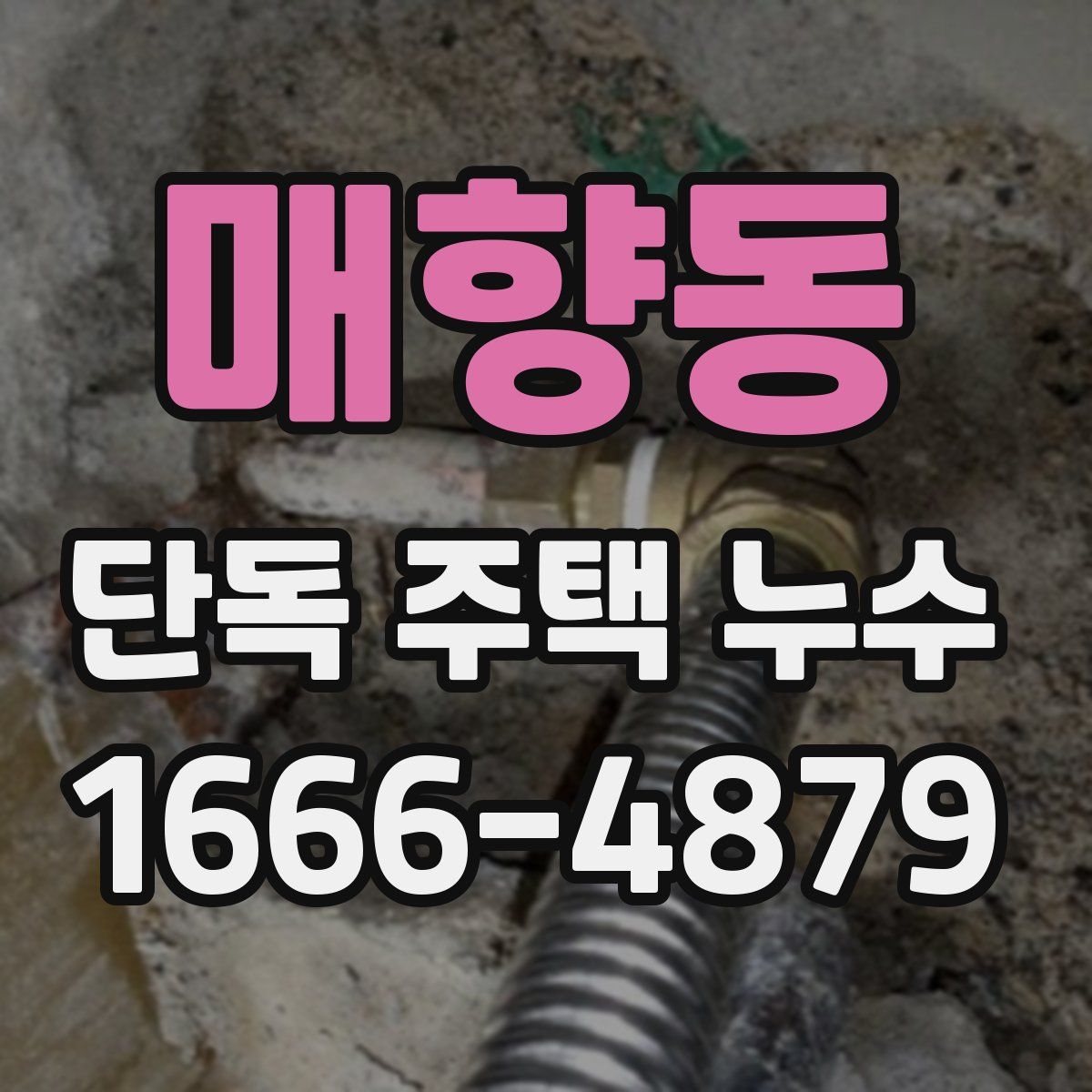 매향동 단독 주택 누수