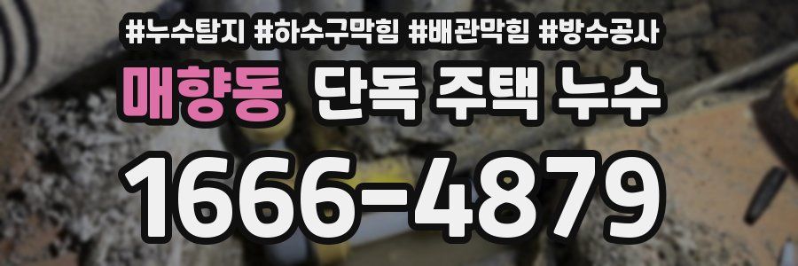 매향동 단독 주택 누수
