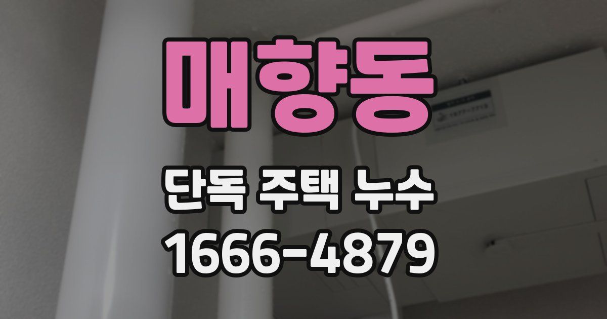 매향동 단독 주택 누수