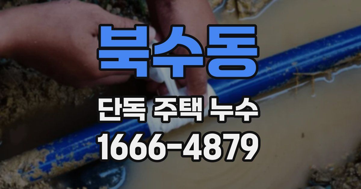북수동 단독 주택 누수