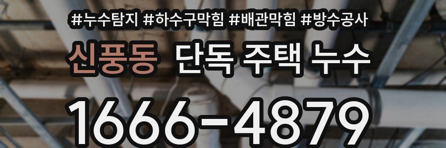 신풍동 단독 주택 누수