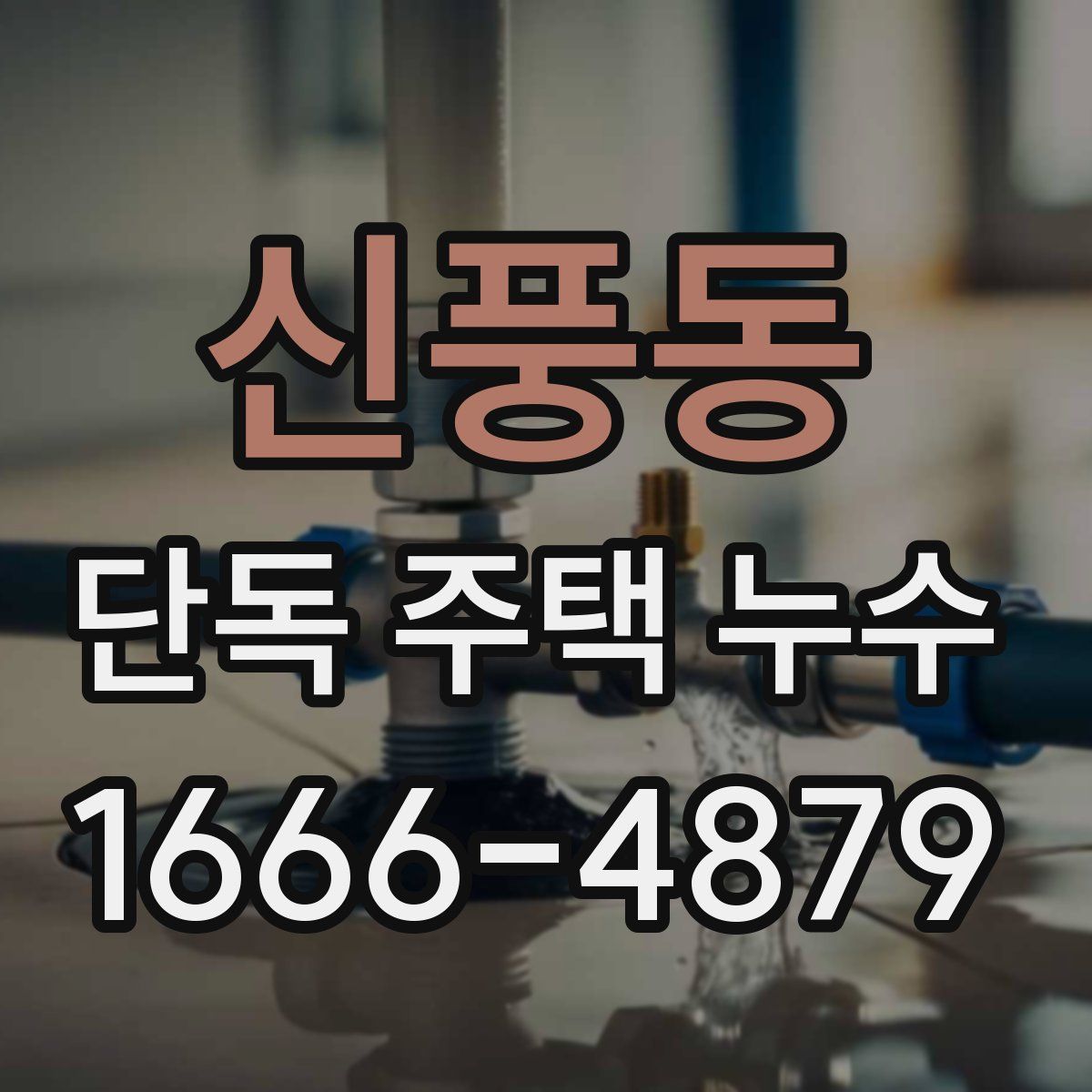 신풍동 단독 주택 누수