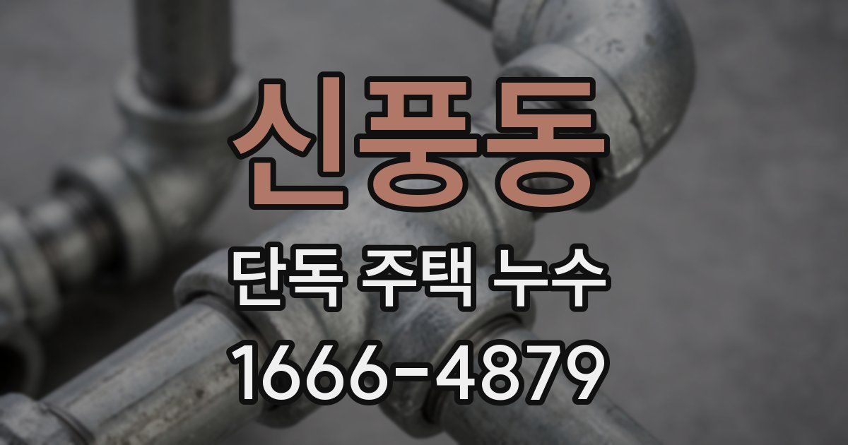 신풍동 단독 주택 누수