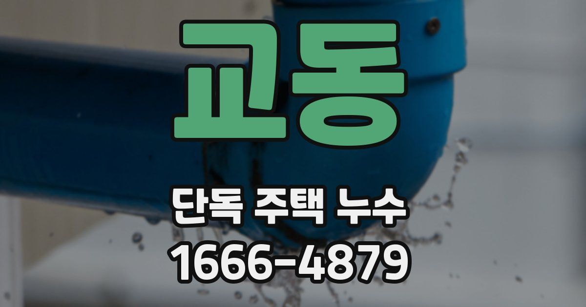 교동 단독 주택 누수