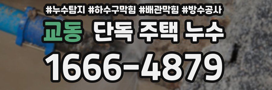 교동 단독 주택 누수
