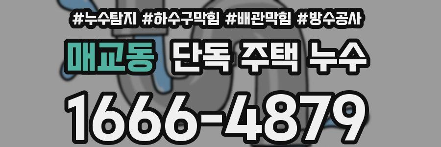 매교동 단독 주택 누수