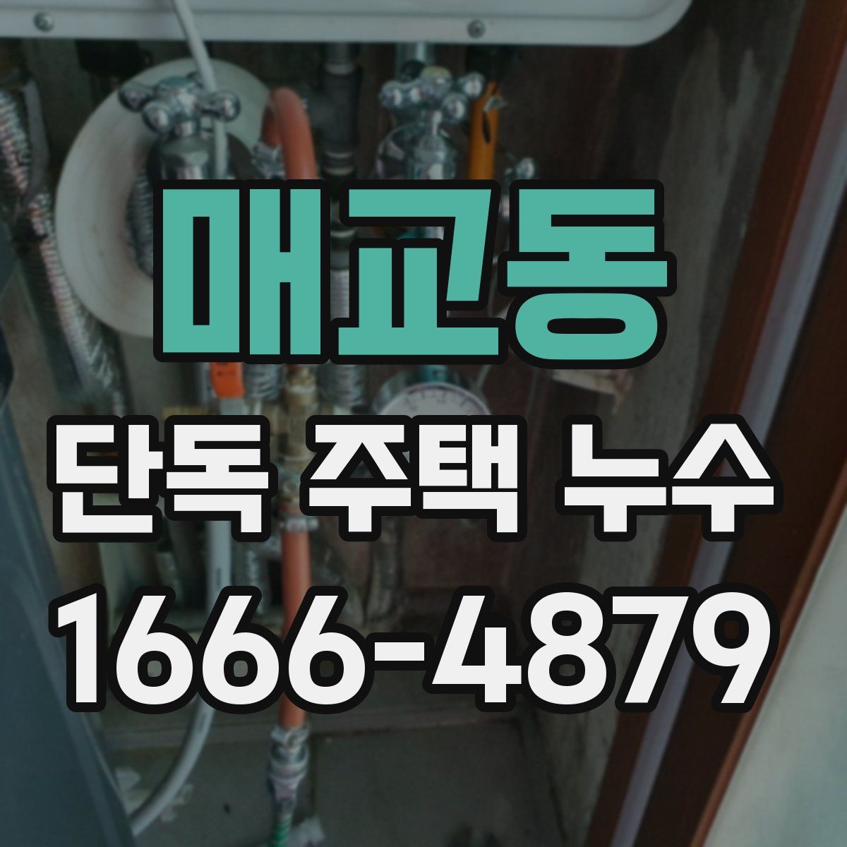 매교동 단독 주택 누수