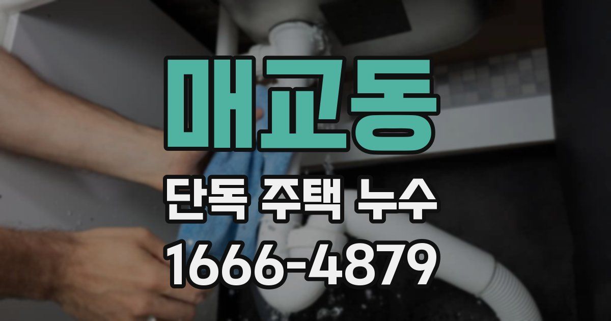 매교동 단독 주택 누수