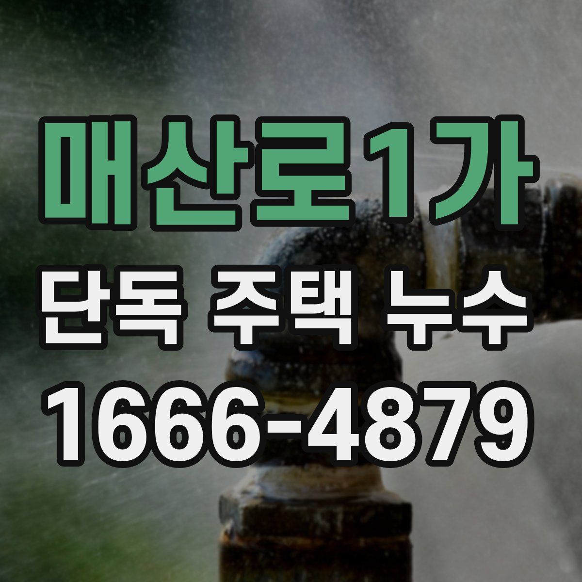 매산로1가 단독 주택 누수