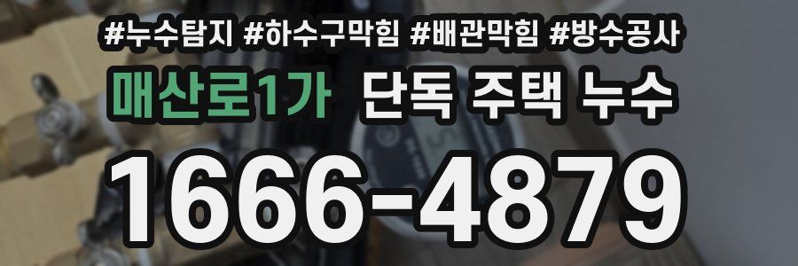 매산로1가 단독 주택 누수