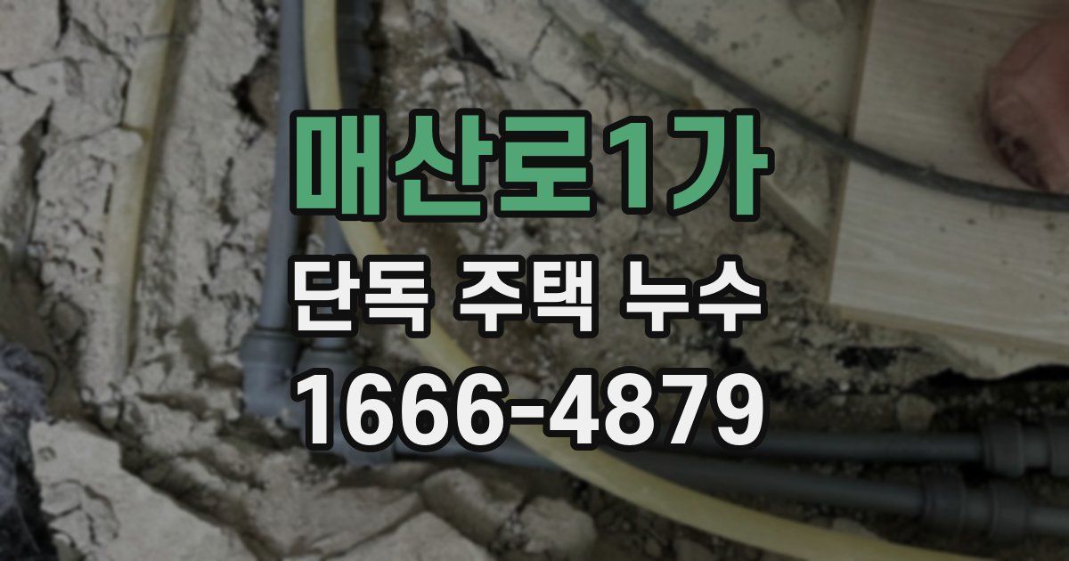 매산로1가 단독 주택 누수