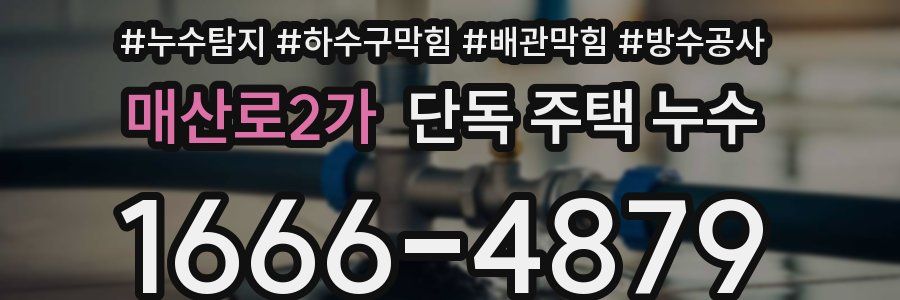 매산로2가 단독 주택 누수