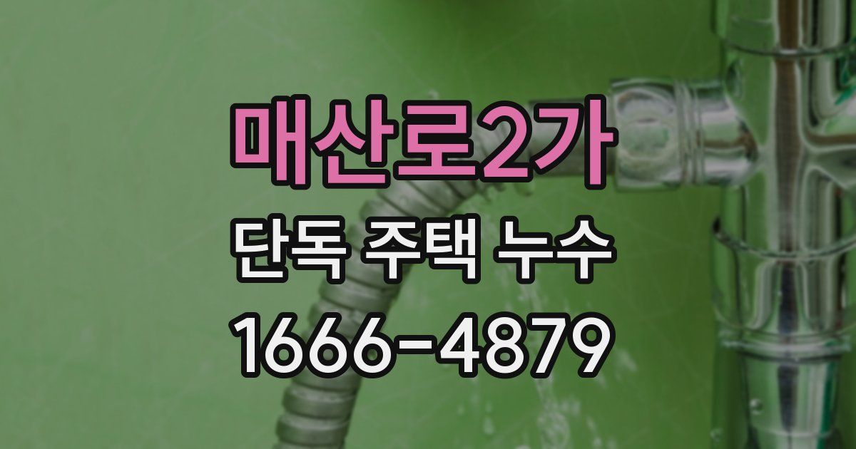 매산로2가 단독 주택 누수